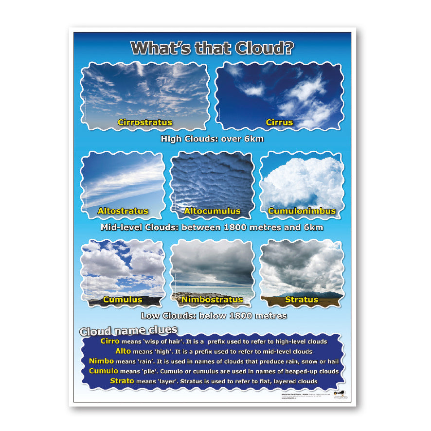 Water Cycle Curriculum Pack