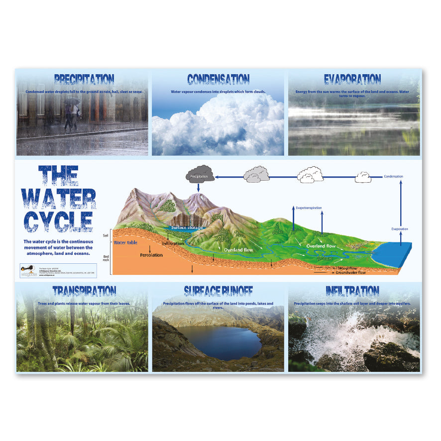 Water Cycle Curriculum Pack