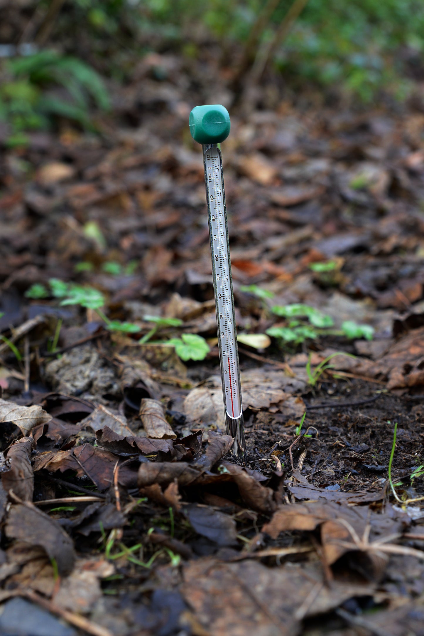 Aluminium Soil Thermometer