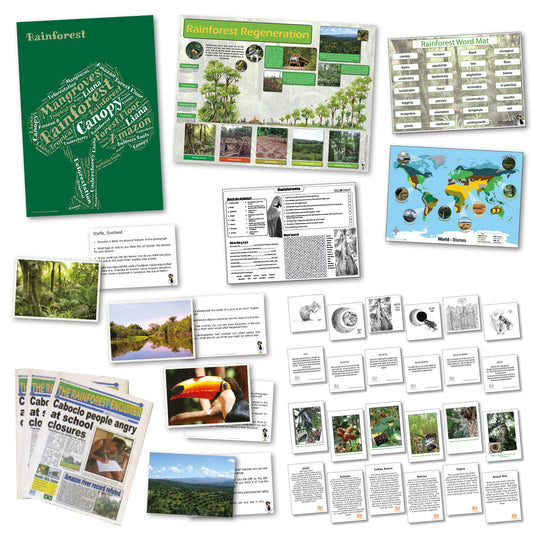 Rainforests Curriculum Pack